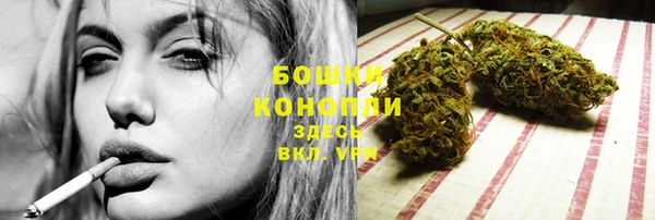 стаф Липки