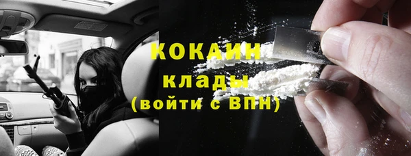 стаф Липки