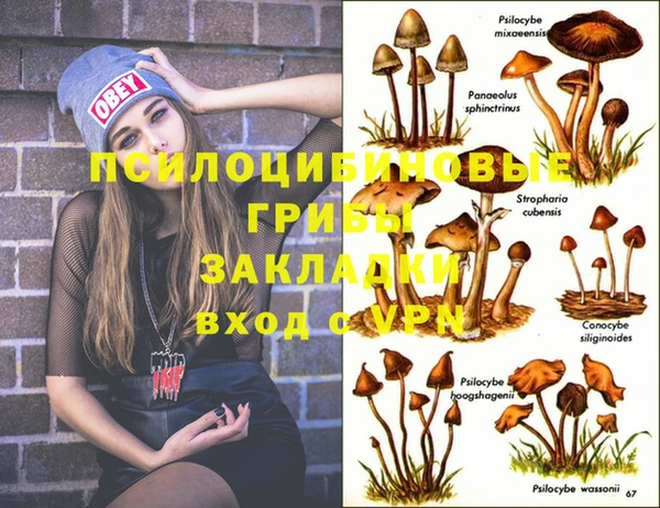 стаф Липки