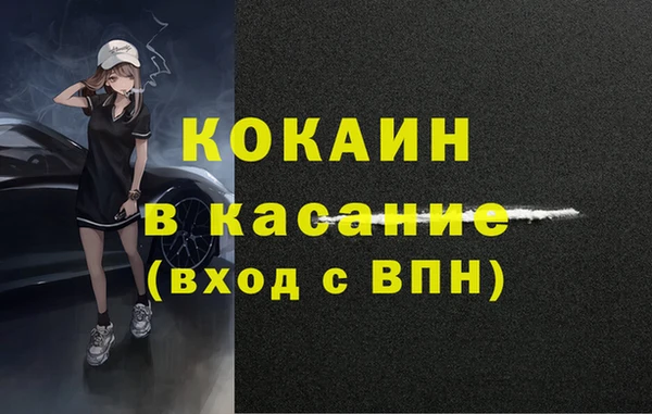 стаф Липки