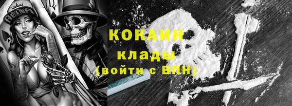 стаф Липки