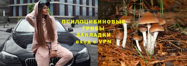 спайс Магас