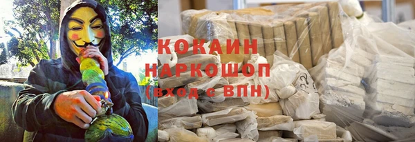 стаф Липки