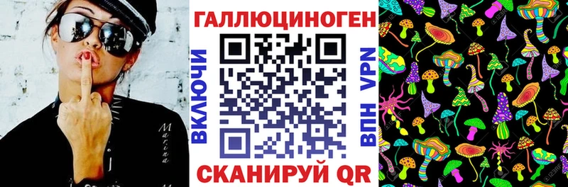 гидра ТОР  Медвежьегорск  Галлюциногенные грибы прущие грибы 